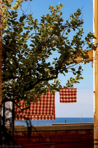 Cinque Terre